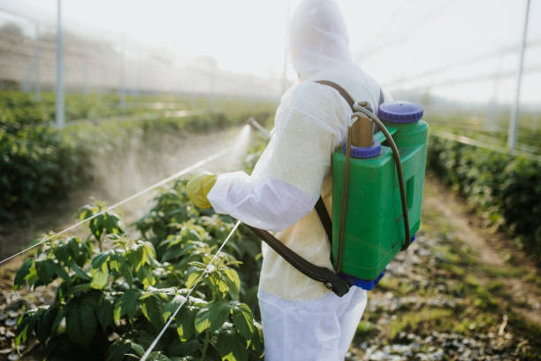Best Flea Control Services  in Laflin, PA